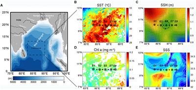 Decreasing Biological Production and Carbon Export Due to the Barrier Layer: A Case Study in the Bay of Bengal